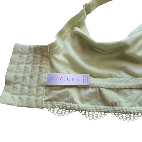 Cacique Pastel Green Lace Lightly Lined Bra ~ 44DDD - Picture 3 of 6